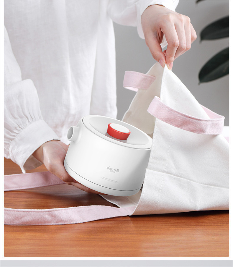 Deerma Portable Electric Kettl - Women Bags Under 500 review and price